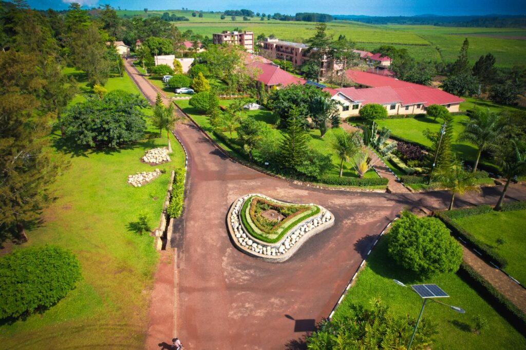 DJI_0441